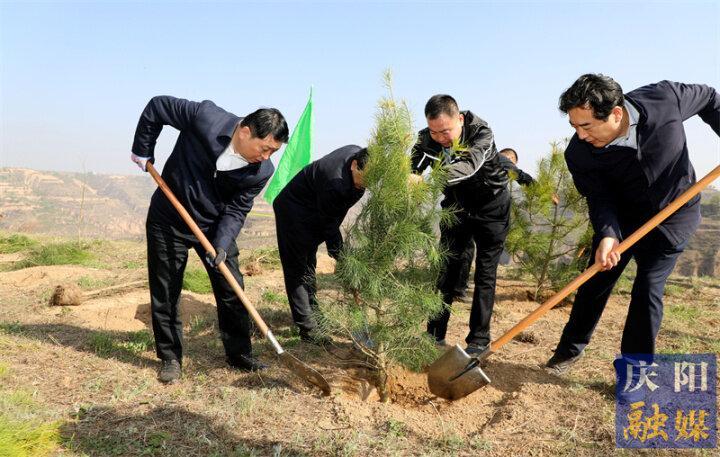 慶陽市2023年市級機關(guān)義務植樹活動在慶城縣舉行