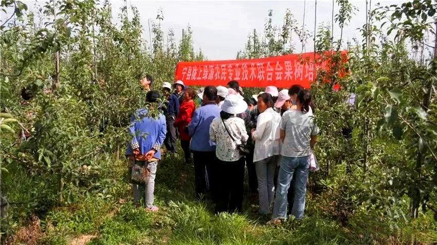 科普之花遍地開 引領群眾同致富——寧縣隴上綠源農(nóng)民專業(yè)技術(shù)聯(lián)合會充分發(fā)揮科技助農(nóng)作用