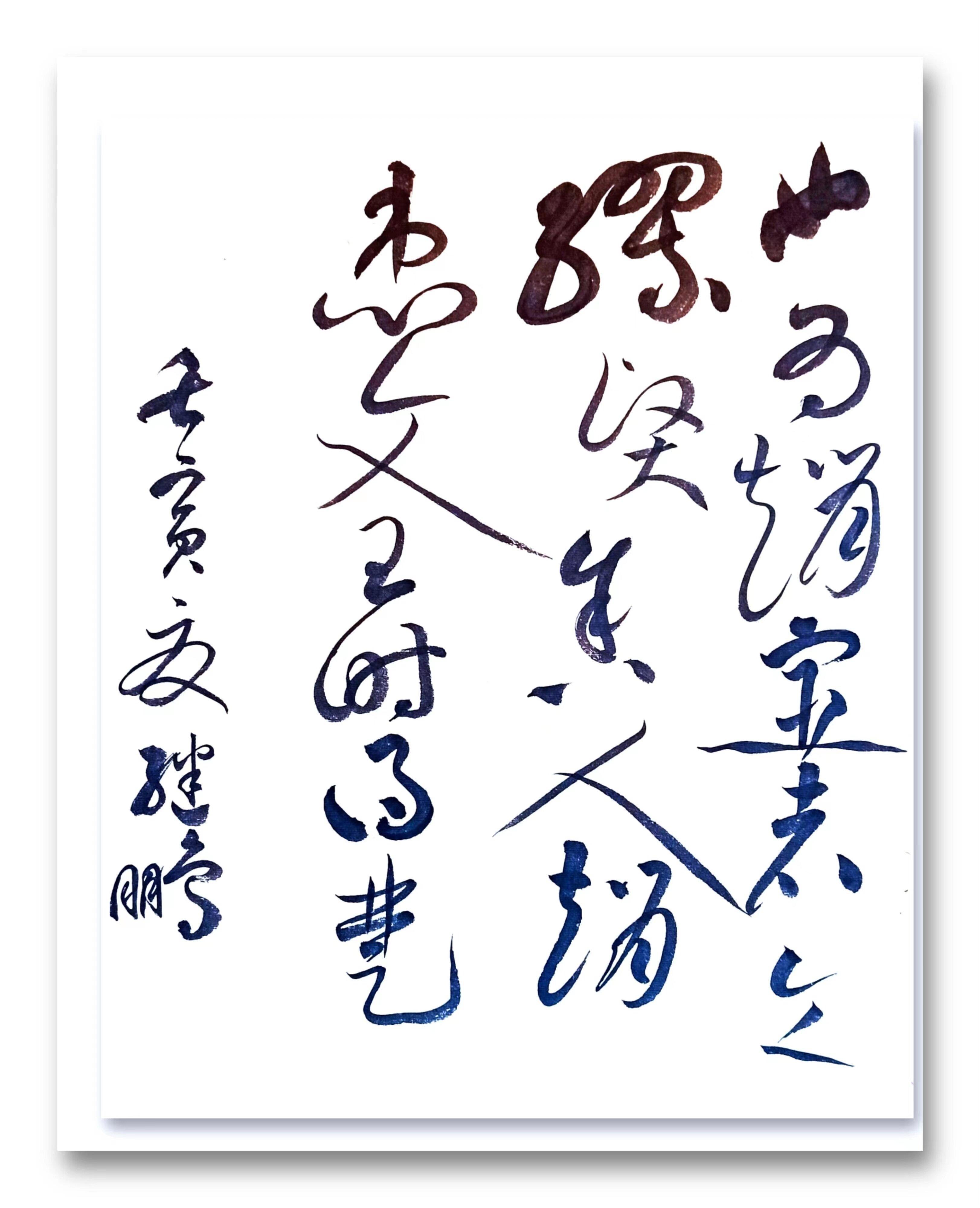 【書畫慶陽】本期聚焦：王繼鵬書法作品鑒賞