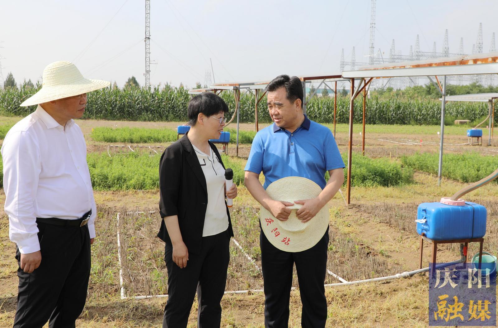 黃澤元在蘭州大學(xué)慶陽草地農(nóng)業(yè)試驗站和市農(nóng)科院調(diào)研時強(qiáng)調(diào) 切實提升科技成果轉(zhuǎn)化率促進(jìn)農(nóng)民增收 加快發(fā)展農(nóng)業(yè)新質(zhì)生產(chǎn)力推動農(nóng)業(yè)增效