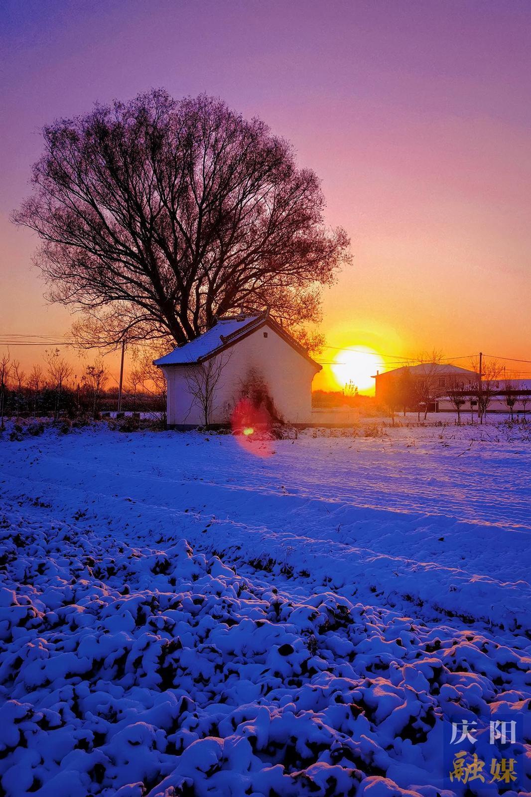 【大美慶陽】雪地晨曦