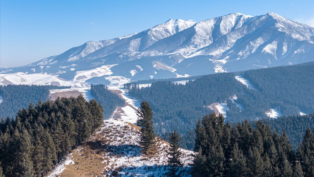 祁連山麓冬景如畫